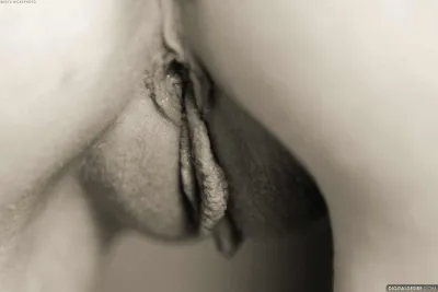 Porn b&w — Vagina erotica
