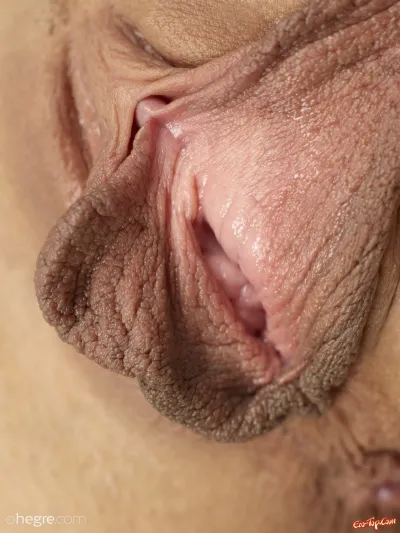 Pussy with labia majora close-up — Pussy with large lips