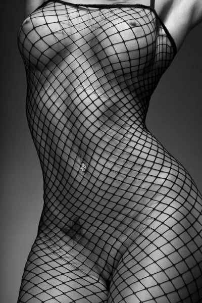 Erotic mesh — Female body erotica