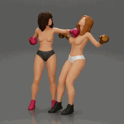 Female boxing ryona — Naked girls boxing