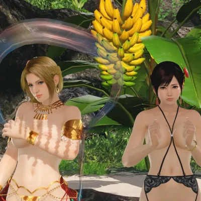 Dead or alive xtreme venus vacation